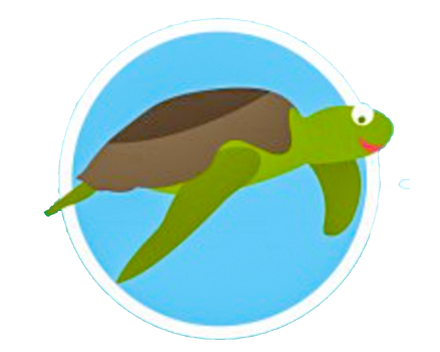 Brevet Leren overleven. Brevet Waterschildpad_Koninklijke Vilvoordse Zwemschool Phoenix