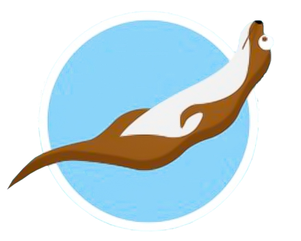 Brevet Leren veilig zwemmen. Brevet otter_zwembadveilig 12m_Koninklijke Vilvoordse Zwemschool Phoenix