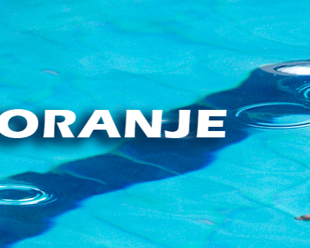 Groep 4 Oranje van de Koninklijke Vilvoordse Zwemschool Phoenix